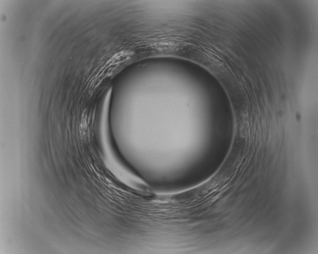 X0000056361298200508261327