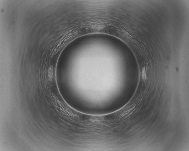 X0000056361299200508261327