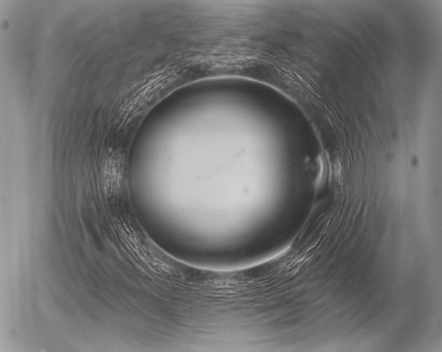 X0000056361300200508261327