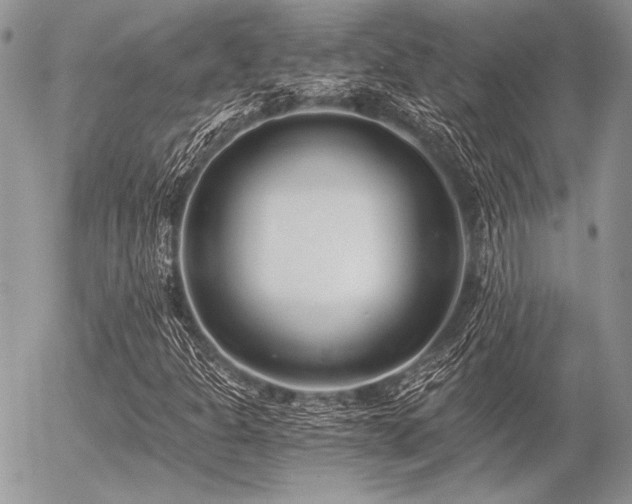 X0000056361301200508261327