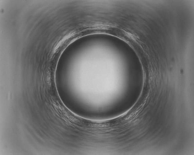 X0000056361307200508261327