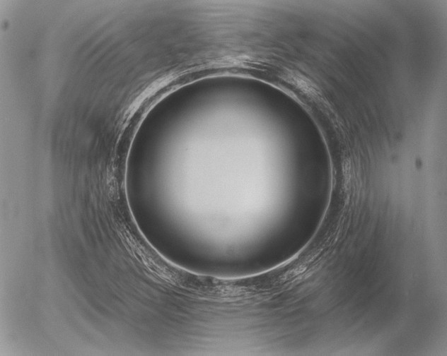 X0000056361308200508261327