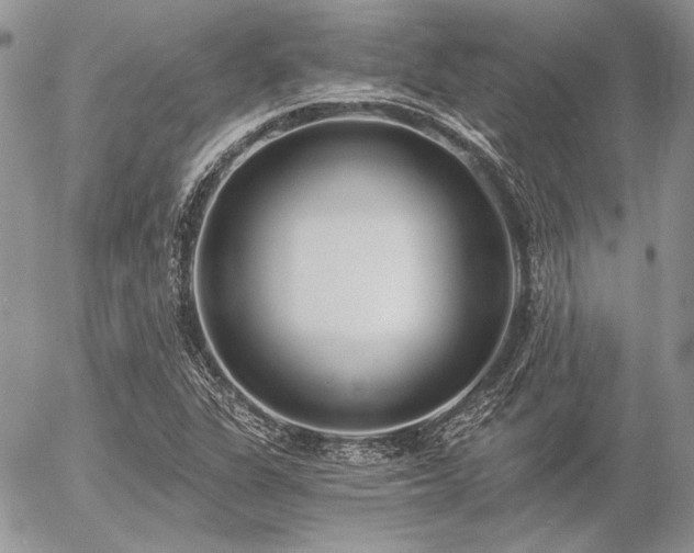 X0000056361311200508261327