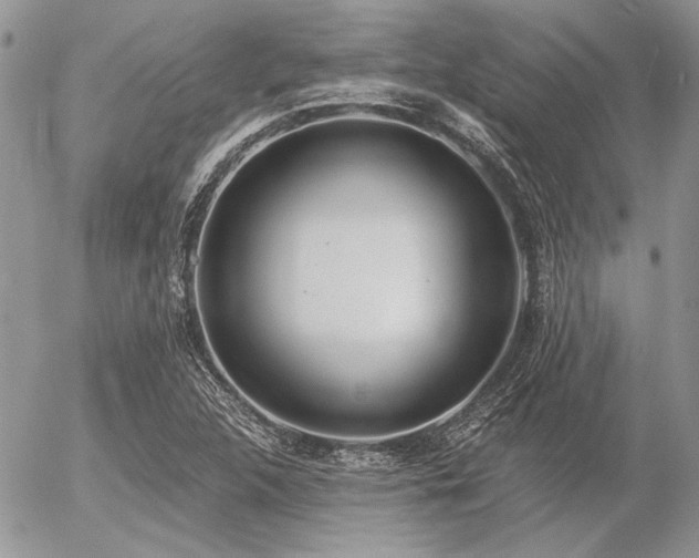 X0000056361312200508261327
