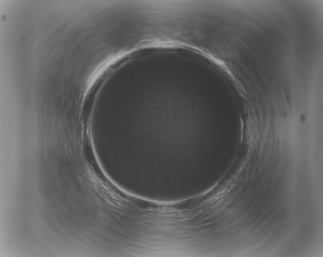 X0000056361319200508261327