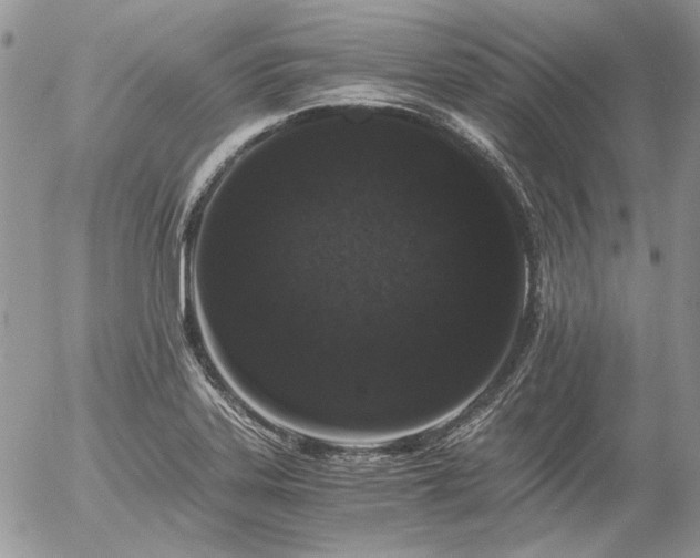X0000056361323200508261327