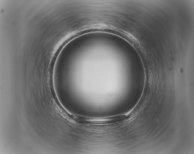 X0000056361326200508261327