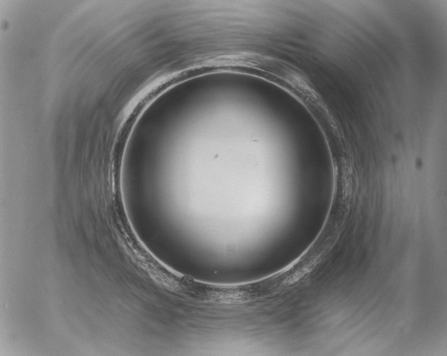 X0000056361328200508261327