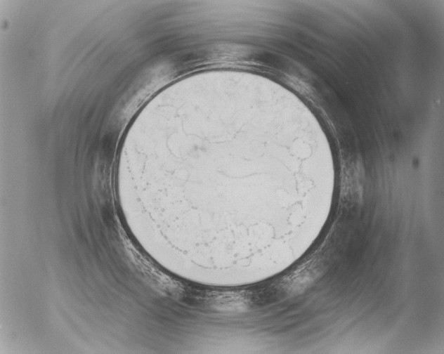 X0000056361338200508261327