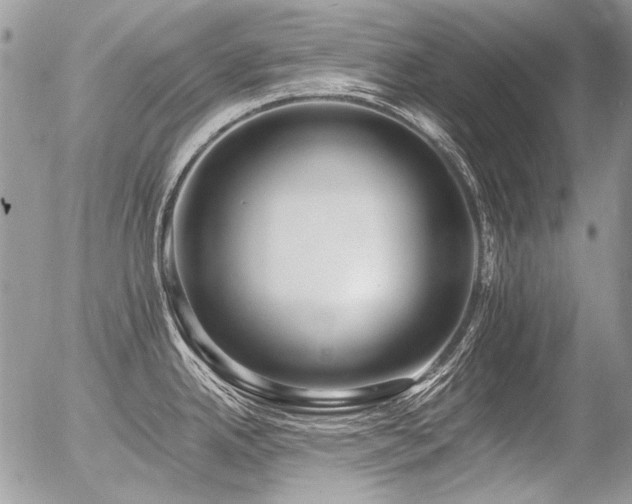 X0000056361342200508261327