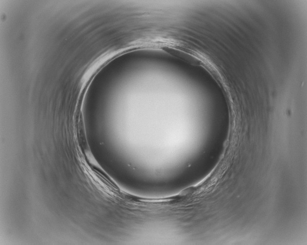 X0000056361344200508261327