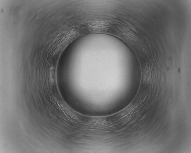 X0000056361346200508261327