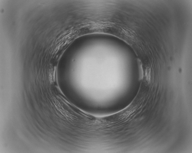 X0000056361348200508261327
