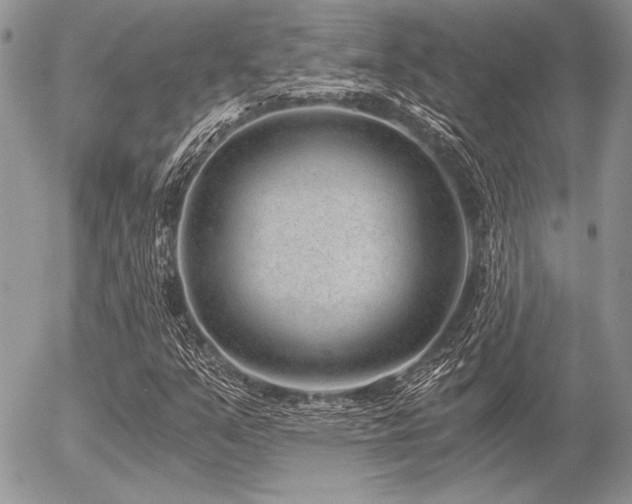 X0000056361351200508261327