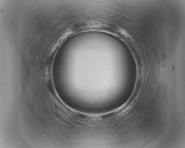 X0000056361353200508261327