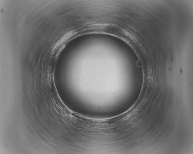 X0000056361354200508261327