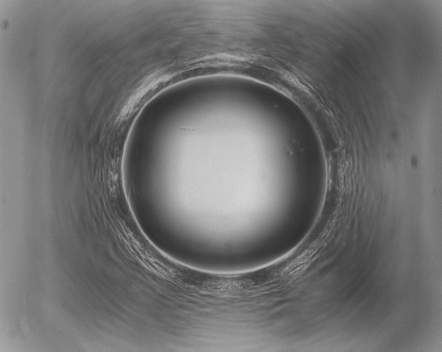 X0000056361355200508261327