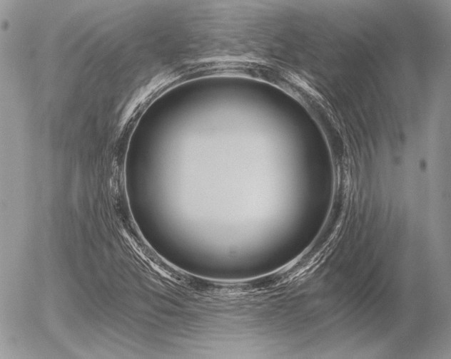 X0000056361357200508261326