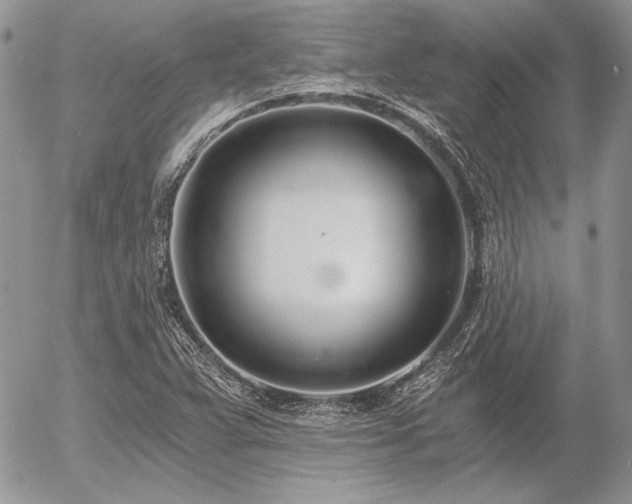 X0000056361359200508261326