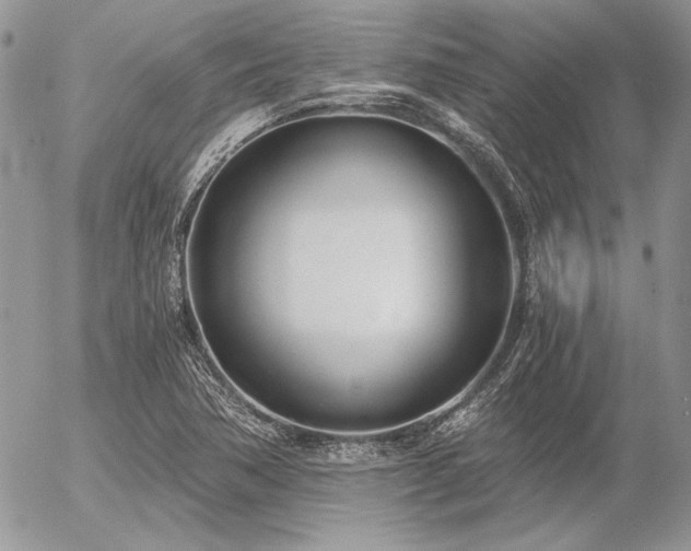 X0000056361362200508261326