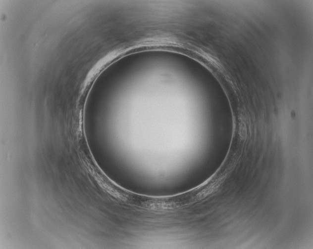 X0000056361366200508261326