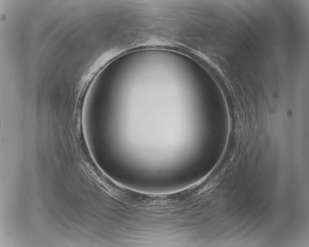 X0000056361367200508261326