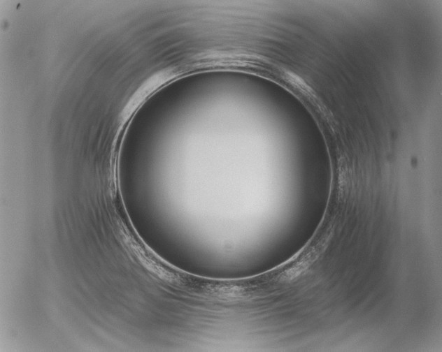 X0000056361370200508261326