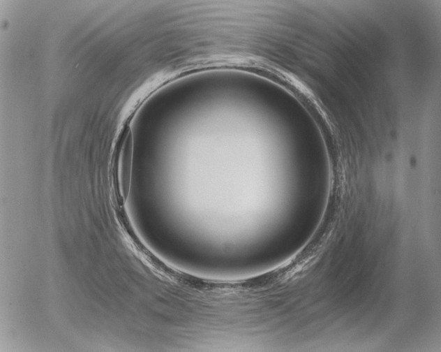X0000056361373200508261326