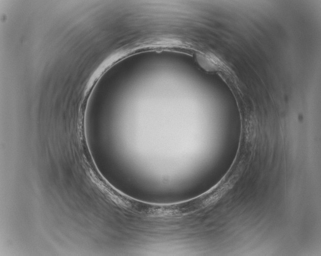 X0000056361374200508261326