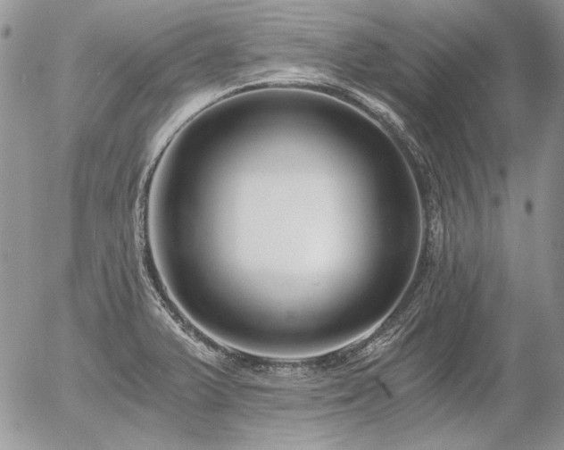 X0000056361375200508261326