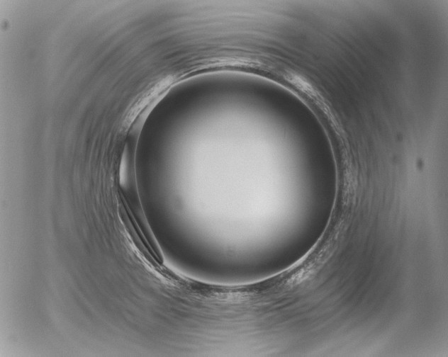 X0000056361377200508261326