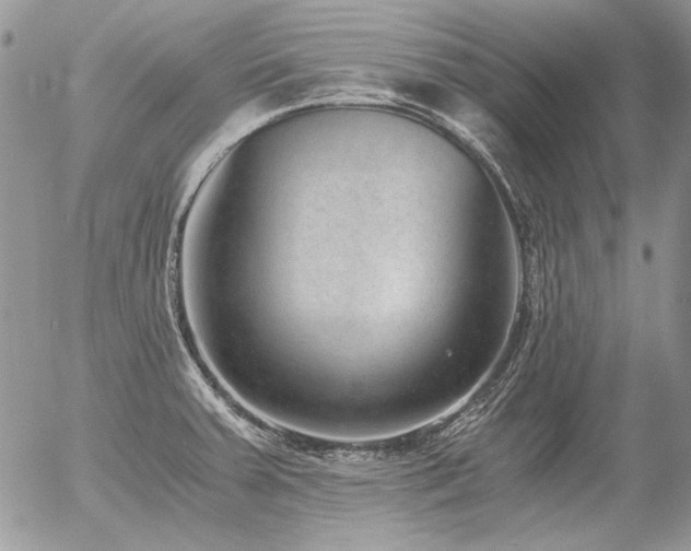 X0000056361379200508261326