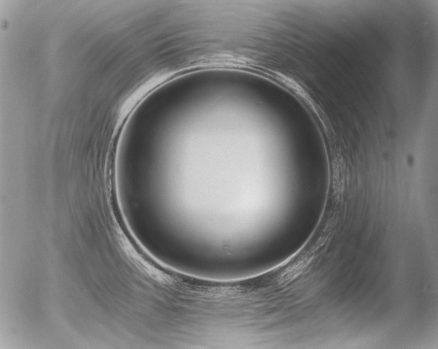 X0000056361387200508261326