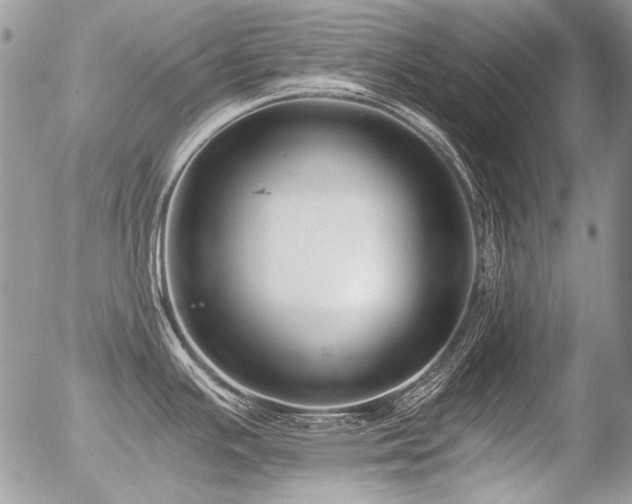 X0000056361391200508261326