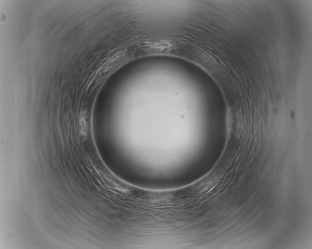 X0000056361394200508261325