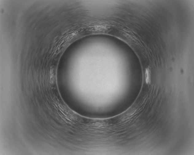 X0000056361395200508261325