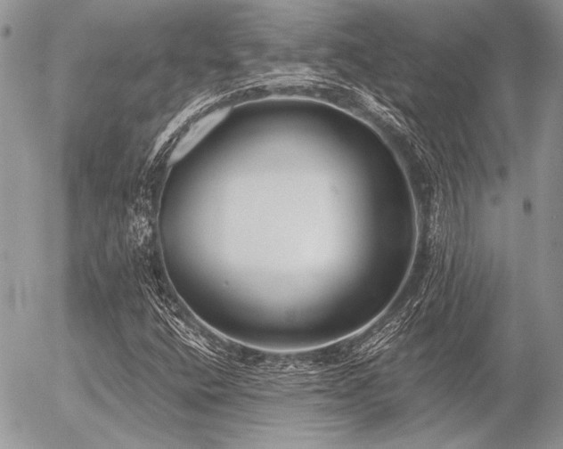 X0000056361400200508261325
