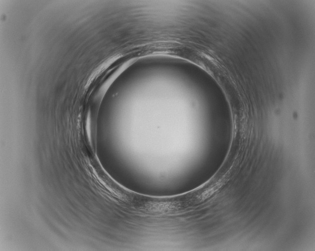 X0000056361402200508261325
