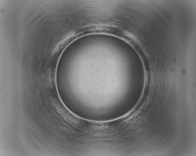 X0000056361403200508261325