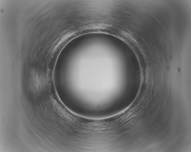 X0000056361404200508261325