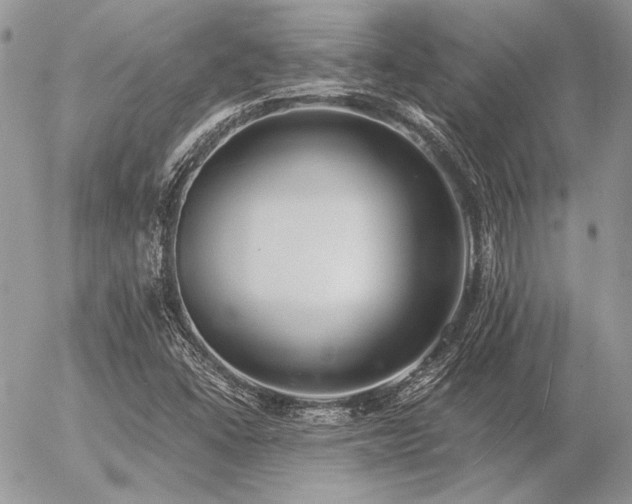 X0000056361406200508261325