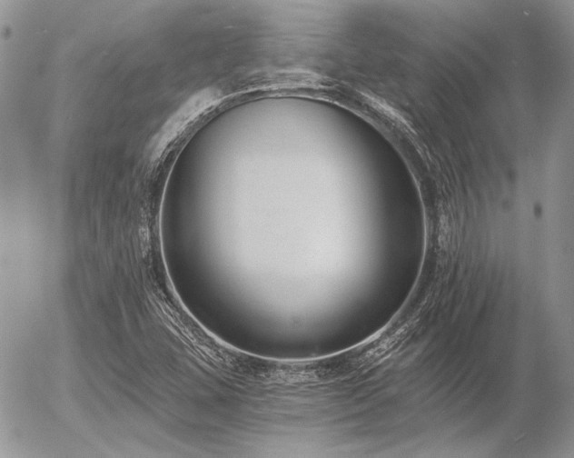 X0000056361407200508261325