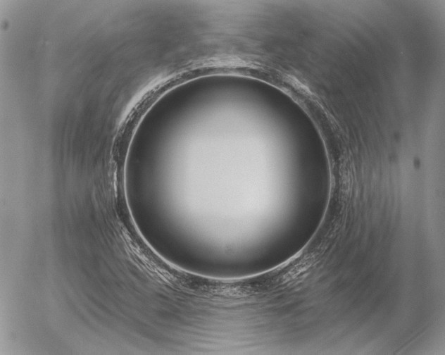 X0000056361408200508261325