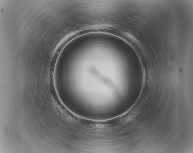 X0000056361412200508261325