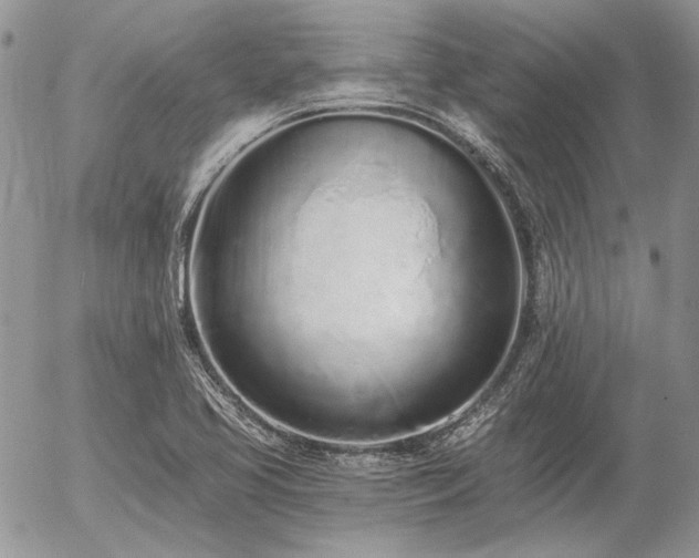 X0000056361413200508261325