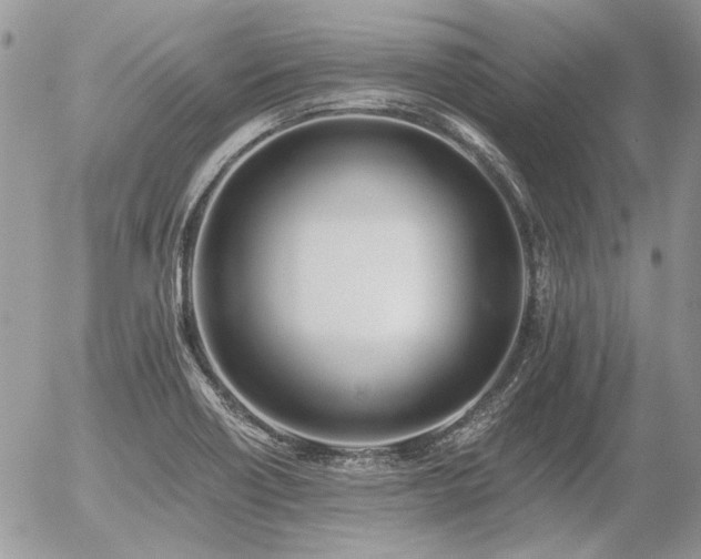 X0000056361418200508261325