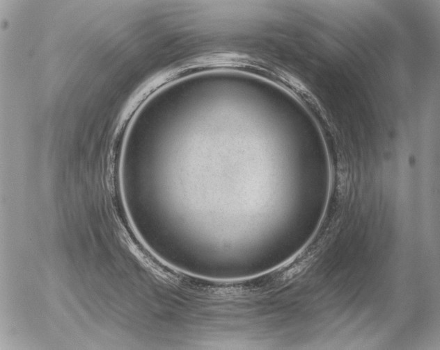X0000056361421200508261326