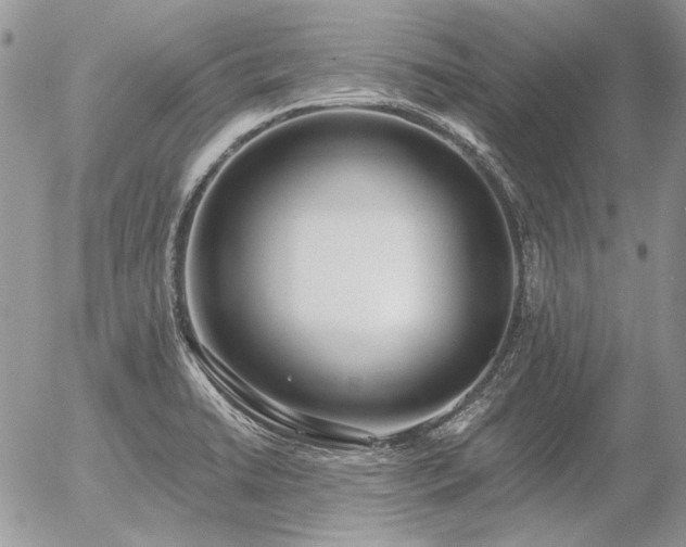 X0000056361422200508261326
