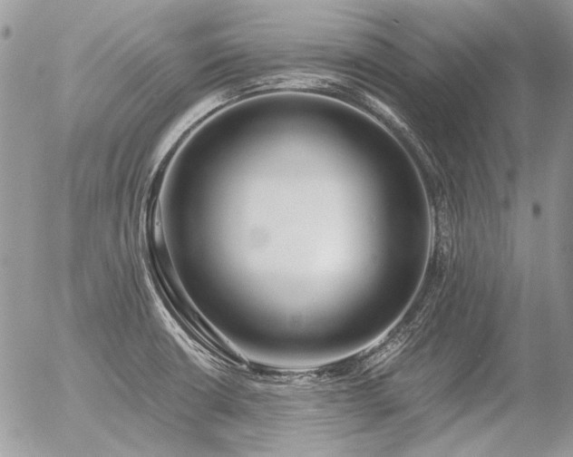 X0000056361426200508261326