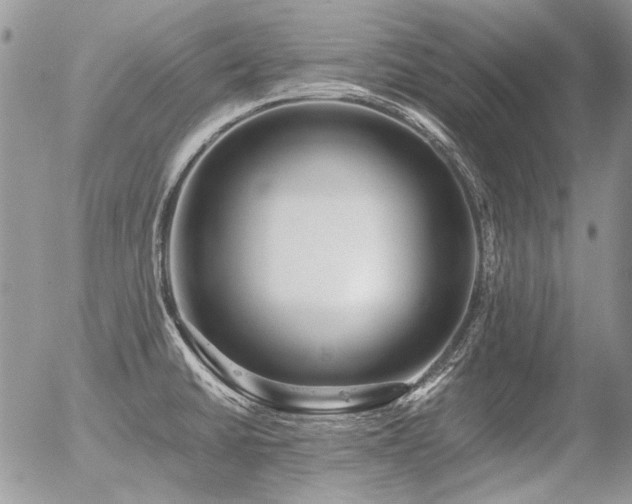 X0000056361430200508261326